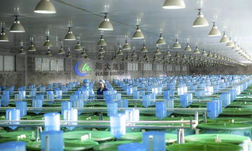 2024,哪些企業(yè)會倒下 哪些企業(yè)會雄起 哪些品種會暴雷 又有哪些機會 四問中國水產(chǎn)業(yè)